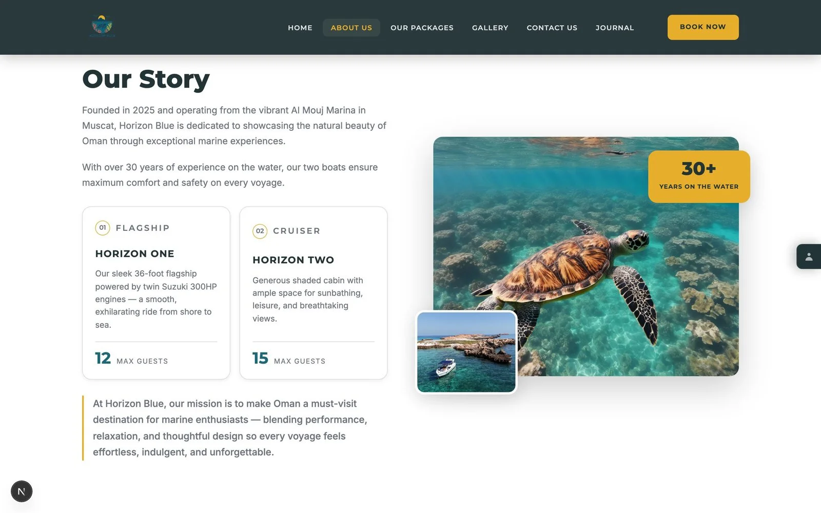 Horizon Blue website